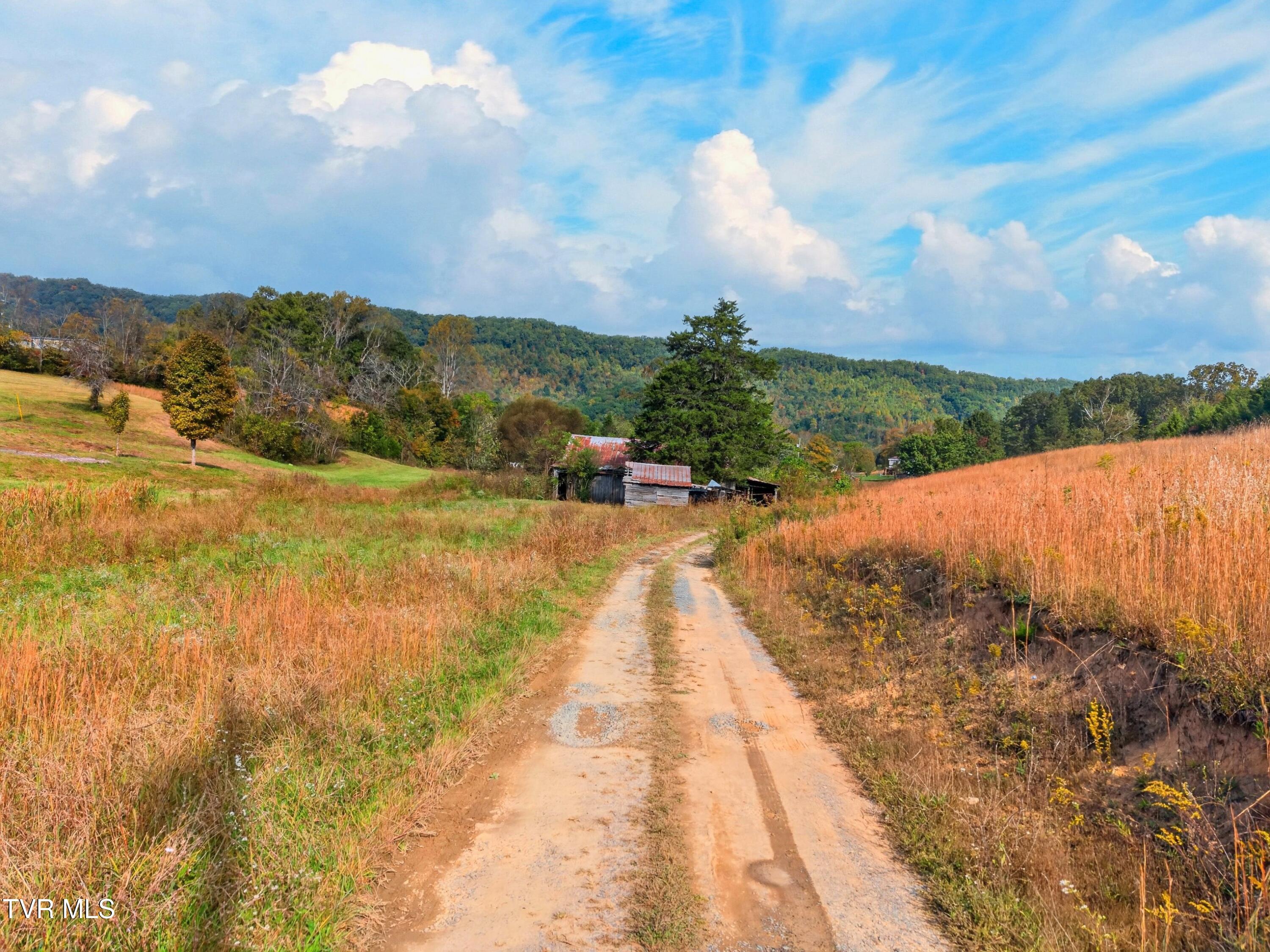 005-3131BeechCreekRoad-Rogersville-TN-37