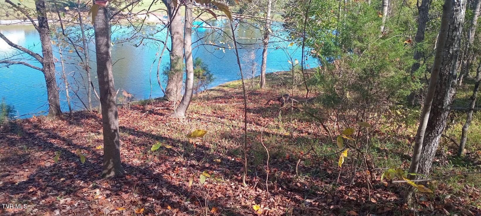 Upper bldg site lake view