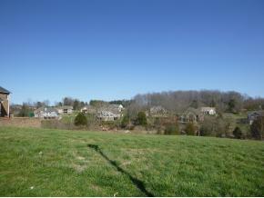 Photo of land at 205 Forest Court