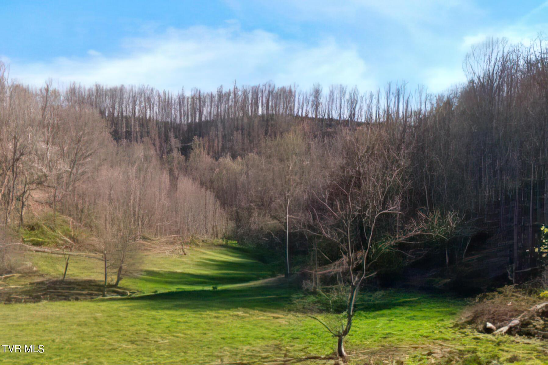 Photo of 44 ac land at Tbd Miller Lane