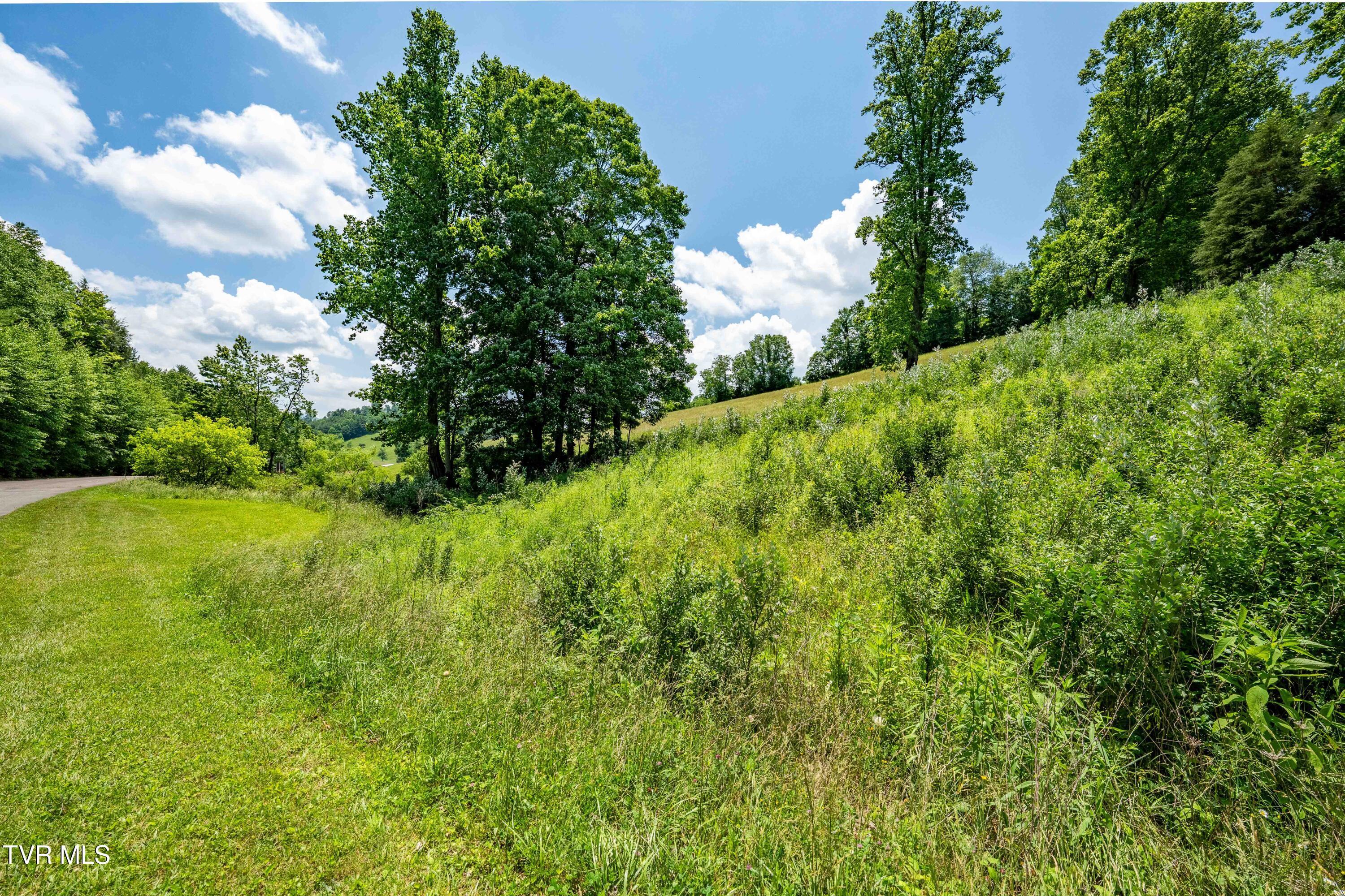 Photo of 3.75 ac land at Tbd Ridgeview Drive