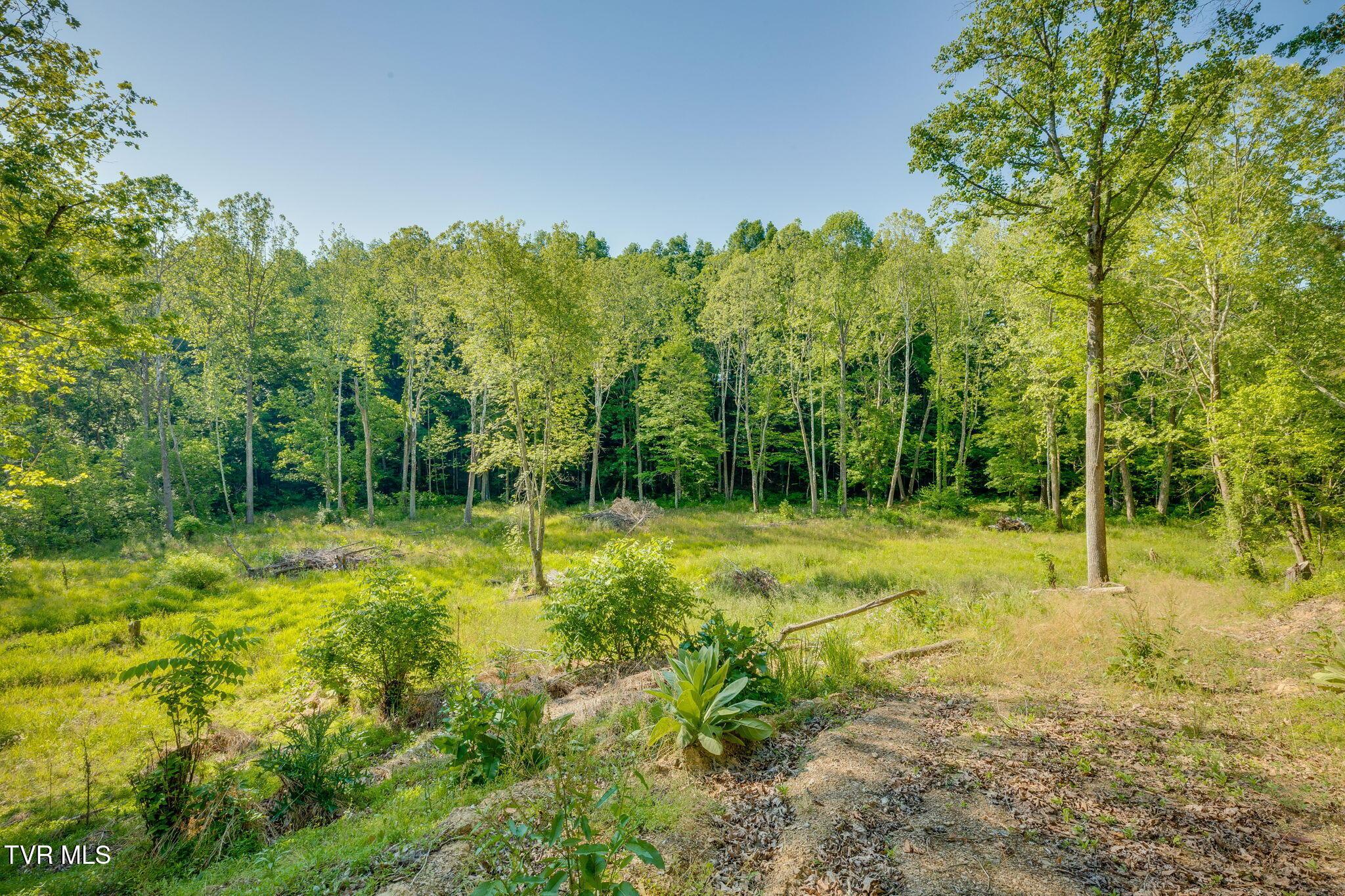 Photo of 3.77 ac land at 993 Highway 75